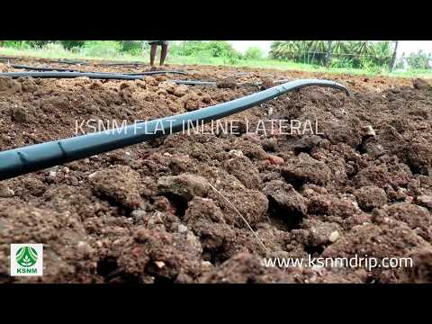 Agricultural Drip Irrigation Systems