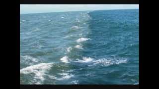 Videosex - Morje brezčasno