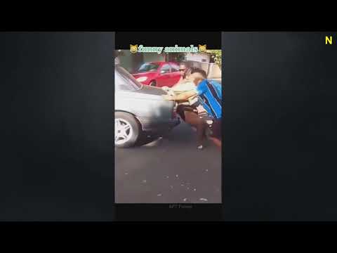 Funniest Dogs And Cats Videos 😁 ~ Best Funny Animal Videos 2023 🥰 #540