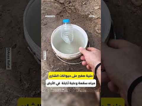 مبادرة جميلة من صبي لإرواء حيوانات الشارع