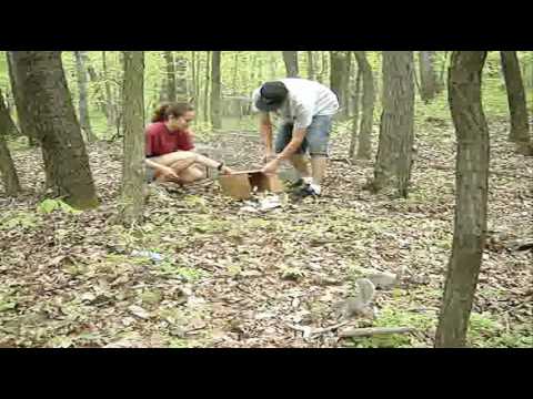 Squirrel Release May 2010