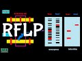 RFLP Markers | Restriction Fragment Length Lolymorphism |