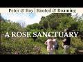 Step Into The Bedford Rosarium A Living Museum Of South Africa S Most Treasured Roses
