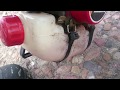 Shindaiwa B450 After 2 Years