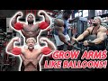 SUPERSET Arm Workout for MASS BUILDING (Crazy Pump) ft Andrew Jacked