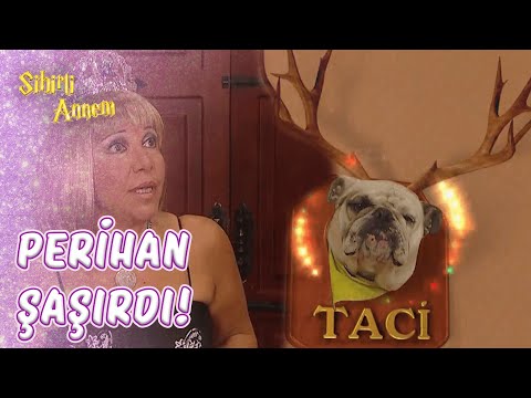 Perihan, Taci'yi Kurtaracak Mı?  - Sihirli Annem 30.Bölüm