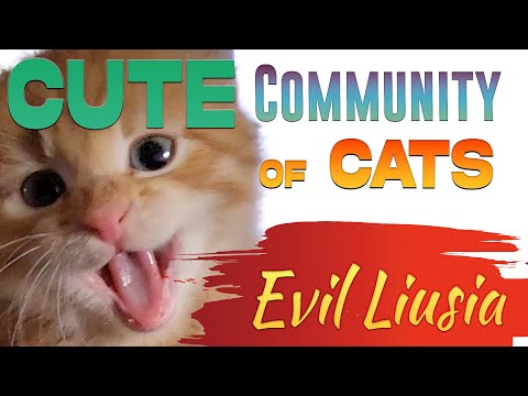 🐱My Big Cat Family: Evil Liusia