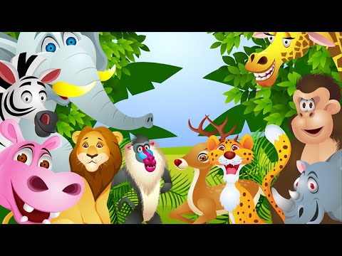 Amazing Jungle sound effect world animals swabi This educational video will help in learning animals