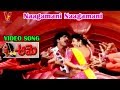 నాగమణి నాగమణి వీడియో సాంగ్ సోగ్గాడి �