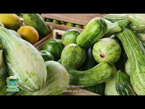 Secretaria de Agricultura encerra 2024 com muitos atendimentos aos produtores rurais