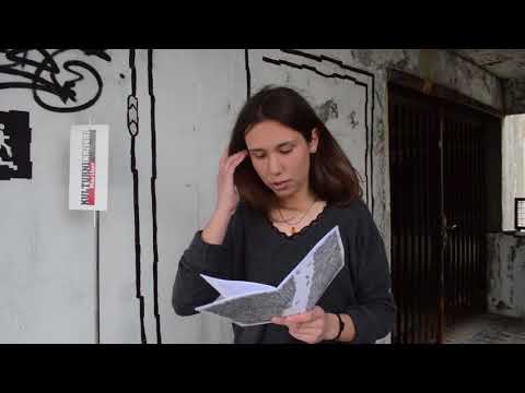 Literarna krpanka 2018 - Monika Kos: Ambivalentnost