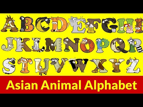 A-Z Asian Animals with Alphabetimals | Animal English Alphabet | ABC Animal Book | abcd Flashcards