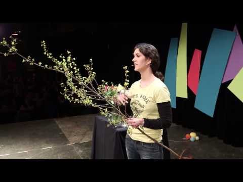 Linde Morawetz - Nahrungssuche der Bienen im Supermarkt Blumenwiese (Science Slam Wien 2014)