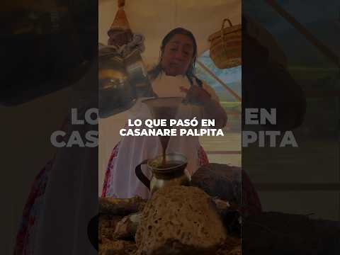 De la sabana hasta Aguazul, lo que nos dejó el #CasanarePalpita 🤠  #llano #cultura #joropo
