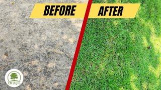 Download lagu CARA MENANAM RUMPUT JEPANG CEPAT TUMBUH MERAMBAT DIRUMAH mp3