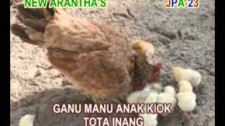 Download lagu CENTHUS BOTHA - O INANG (LAGU DAERAH SIKKA - MAUMERE - FLORES - NTT mp3