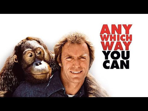 Any Which Way You Can Full Movie (1980) || Clint Eastwood, Sondra Locke | Review & Facts