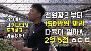 치과의사 포기하고 귀농했어요! 연 2억 5천이상 벌어요..후회는 없습니다...근데.. 그립습니다