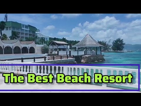 Videos del Seagarden Beach Resort 3★ en Montego Bay, Jamaica
Ver Más
Ver
Precios
19
Cerrar
Consulta por Whatsapp 🇦🇷
Booking
Tripadvisor
Expedia
Agoda
Travelocity
Orbitz
Priceline
Trip
Skyscanner
Despegar
Kayak
Hoteles
Destinia
Trivago
Turismocity
Lastminute
Hotwire
Tui
Wotif
