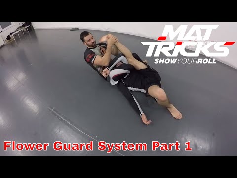Matrix Jiu Jitsu Flower Guard System Part 1