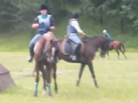 Миша и Эликсир