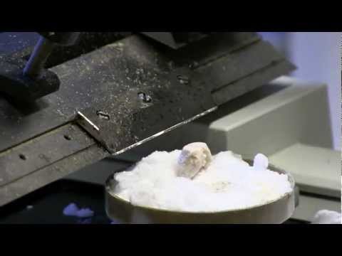 Malin Parmar: "In vivo reprogramming: a novel route to brain repair"