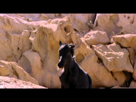 Рожденный в песках - Трейлер