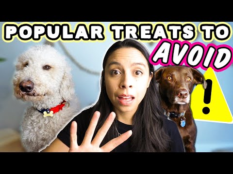 BEST DOG TREATS MONEY CAN BUY 💰 & SCARY ingredients most treats have!!