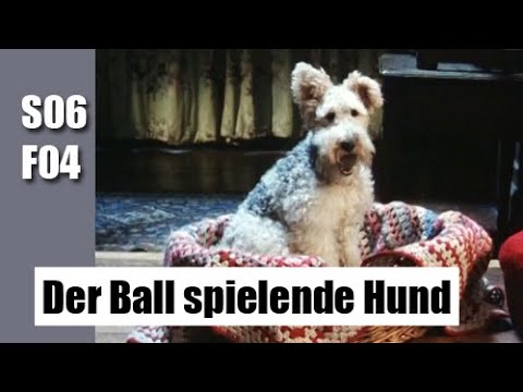 Agatha Christie's Poirot S06F04 - Der Ball spielende Hund / Deutsch / Ganze Folge