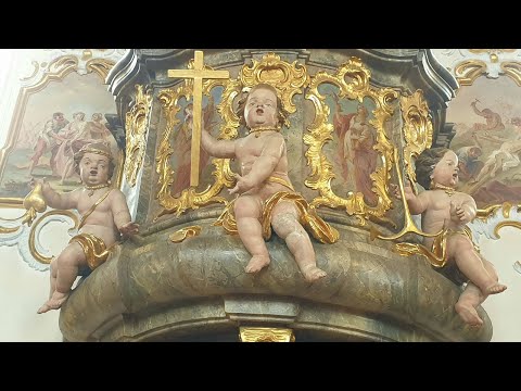 Lateinische Messe z.Eh des Hl. Paulinus von Nola