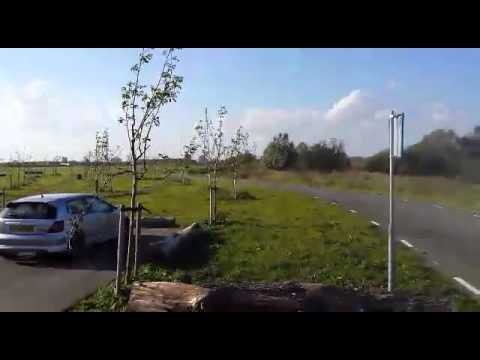 K20 stroker sound