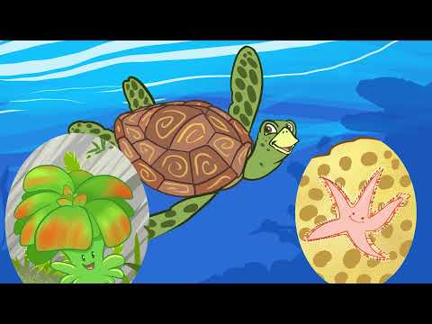 A Batalha da natureza, uma série animada - ep. 01