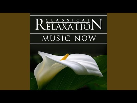 Pure Imagination (From "Willie Wonka & The Chocolate Factory") (Orchestral Version)