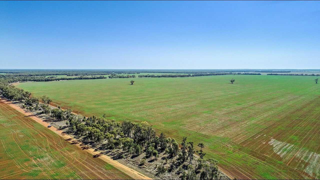 ‘Pangee Park’ Peisley Road, Nyngan, NSW, 2825 For Sale Elders Real Estate