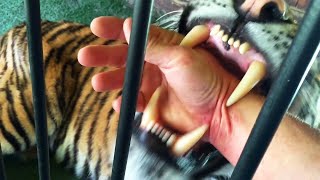 i wasn&#39;t fast enough..