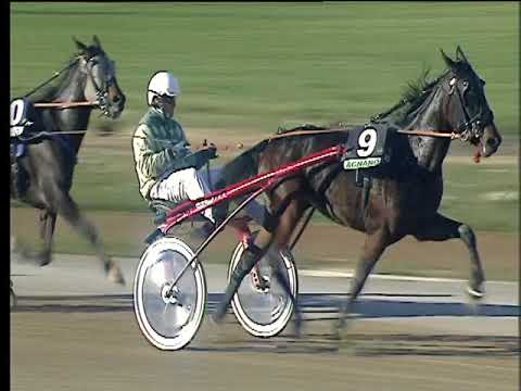 Trotto 12/11/2017 - 1ª corsa