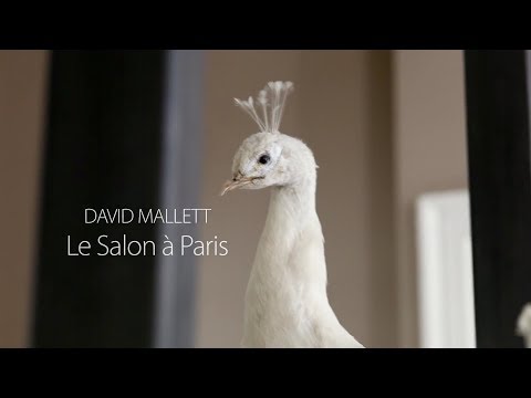 David Mallett: Le Salon à Paris