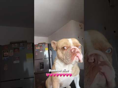 Hoy es el día para escuchar #333 #soley #musica #tendencia