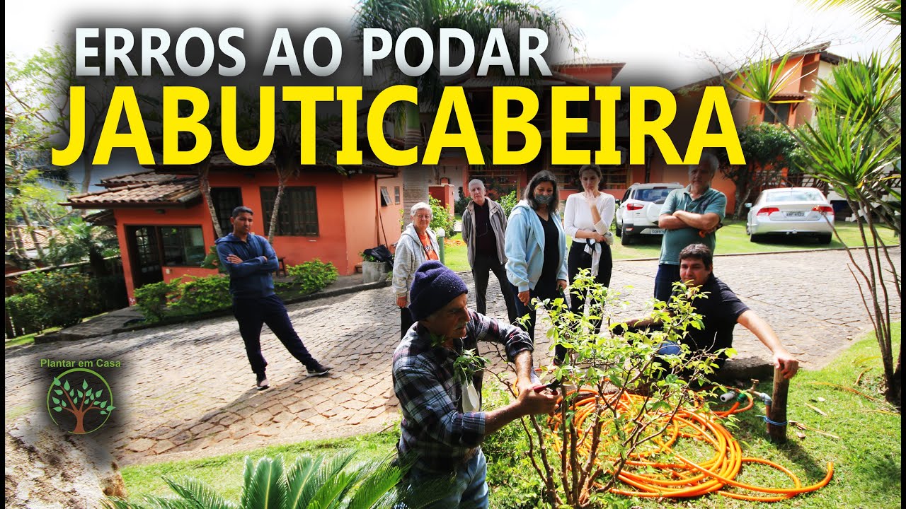 Jabuticabeira Poda e Erros com Sergio Semerdjian em Ilha Bela