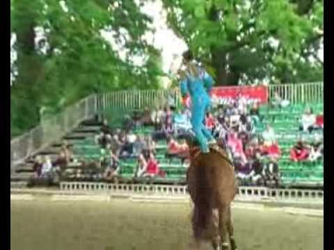 Voltigieren2008-CorneliaPikl