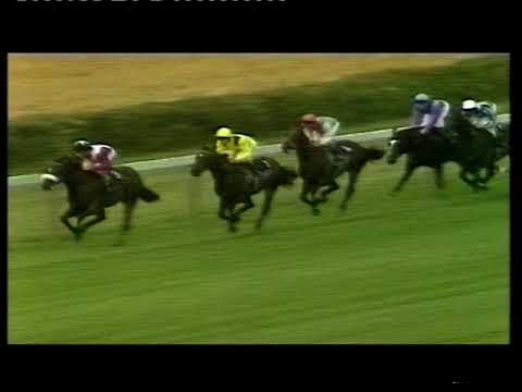 1984 Swettenham Stud Sussex Stakes