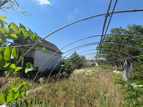 Eladó Építési telek, Sándorfalva 4379 m² 30 M Ft