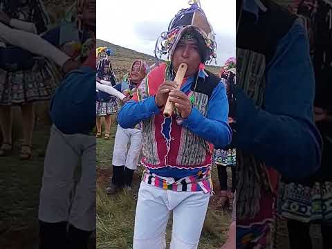 costumbres de la comunidad Collpa Municipio Colquechaca Potosí #cultura