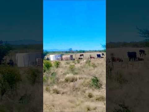 San Carlos Minas, provincia de Córdoba, Argentina.#sancarlosminas