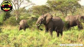 preview picture of video 'Kazinga Tours - Queen Elizabeth National Park'