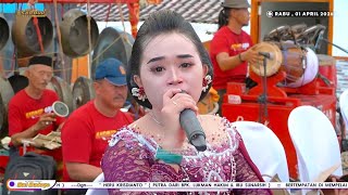 Download lagu FULL ALBUM TAYUP KOPLO VIRAL SARI BUDOYO LIVE NGENGKRENG - SEMAMPIREJO || HERY WIJAYA AUDIO  mp3