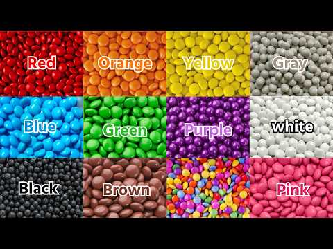 🎪 ABC Circus Spectacular | Letters & Colors Big Top Show | Kids Entertainment | WonderABC World