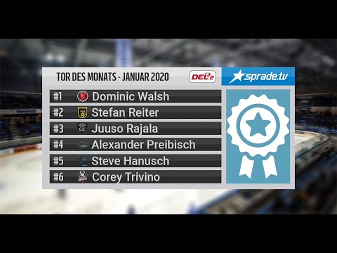 Tor des Monats Januar - #2