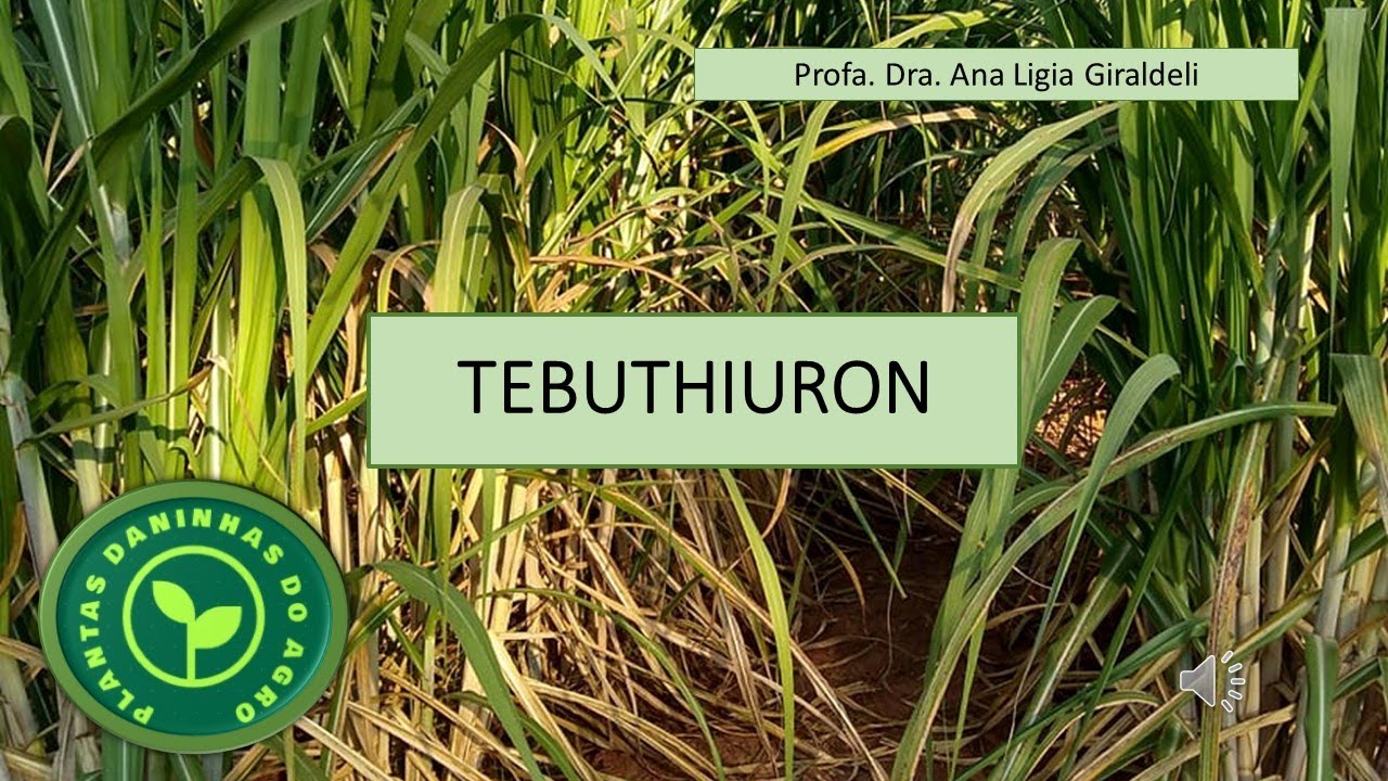 HERBICIDA TEBUTHIURON