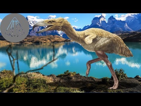 When Giant Terror Birds Were Apex Predators